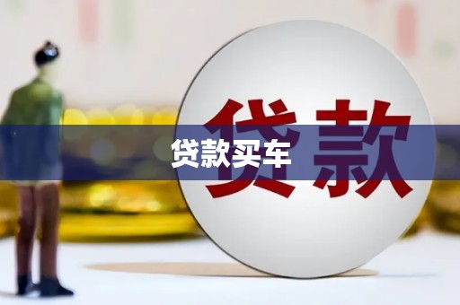 望奎贷款买车