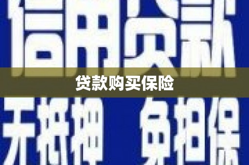 望奎贷款购买保险