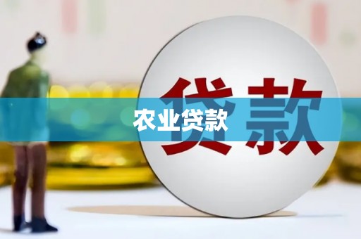 望奎农业贷款