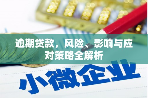 望奎逾期贷款，风险、影响与应对策略全解析