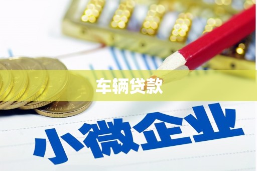 望奎车辆贷款