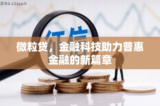 望奎微粒贷，金融科技助力普惠金融的新篇章