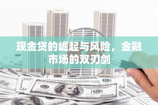 望奎现金贷的崛起与风险，金融市场的双刃剑