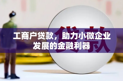望奎工商户贷款，助力小微企业发展的金融利器