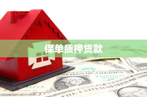 望奎保单质押贷款