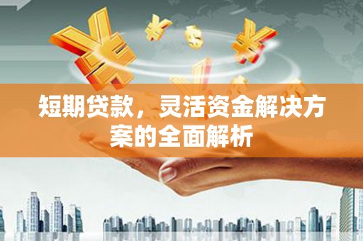 望奎短期贷款，灵活资金解决方案的全面解析