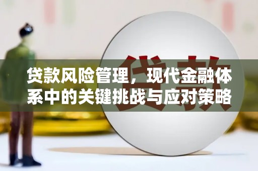 望奎贷款风险管理，现代金融体系中的关键挑战与应对策略