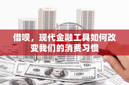 望奎借呗，现代金融工具如何改变我们的消费习惯