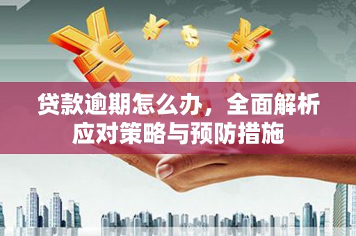 望奎贷款逾期怎么办，全面解析应对策略与预防措施