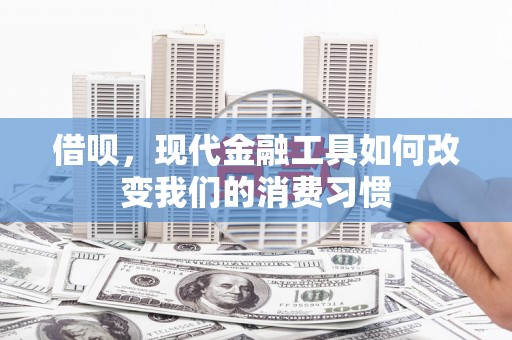 望奎借呗，现代金融工具如何改变我们的消费习惯