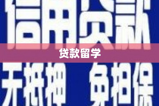 望奎贷款留学
