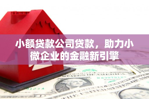 望奎小额贷款公司贷款，助力小微企业的金融新引擎