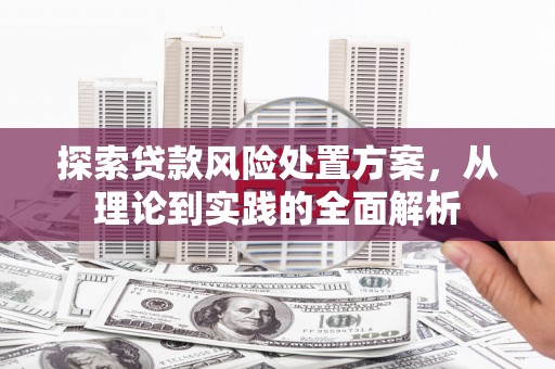 望奎探索贷款风险处置方案，从理论到实践的全面解析