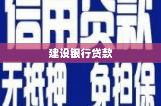 望奎建设银行贷款
