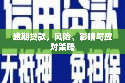 望奎逾期贷款，风险、影响与应对策略