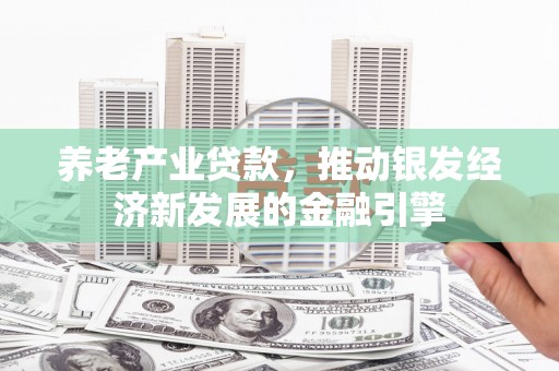 望奎养老产业贷款，推动银发经济新发展的金融引擎