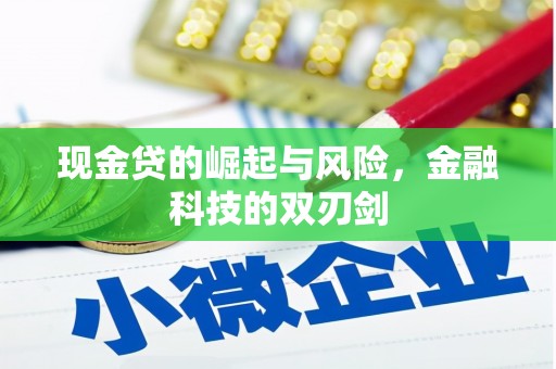 望奎现金贷的崛起与风险，金融科技的双刃剑