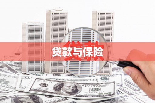 望奎贷款与保险