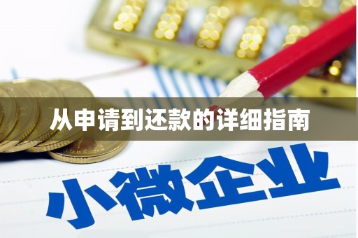 望奎从申请到还款的详细指南