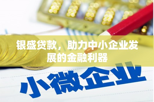 望奎银盛贷款，助力中小企业发展的金融利器