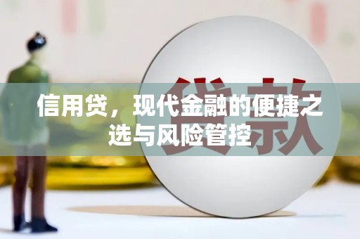 望奎信用贷，现代金融的便捷之选与风险管控