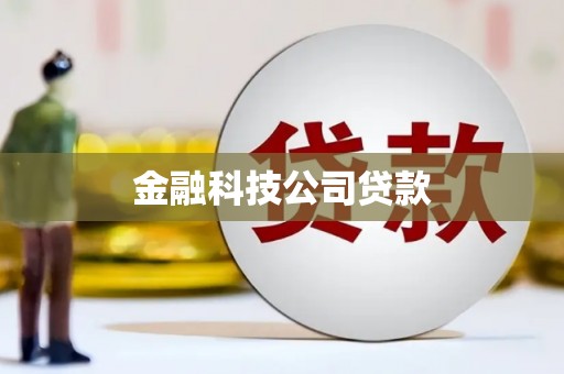 望奎金融科技公司贷款