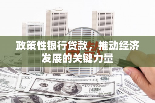 望奎政策性银行贷款，推动经济发展的关键力量