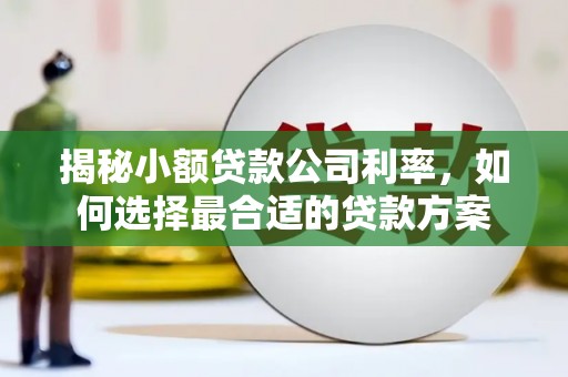 望奎揭秘小额贷款公司利率，如何选择最合适的贷款方案