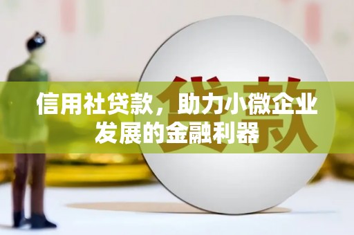 望奎信用社贷款，助力小微企业发展的金融利器