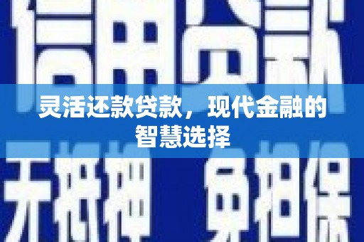 望奎灵活还款贷款，现代金融的智慧选择