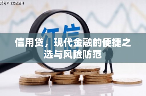 望奎信用贷，现代金融的便捷之选与风险防范