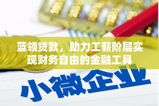 望奎蓝领贷款，助力工薪阶层实现财务自由的金融工具
