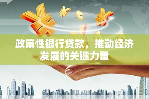望奎政策性银行贷款，推动经济发展的关键力量