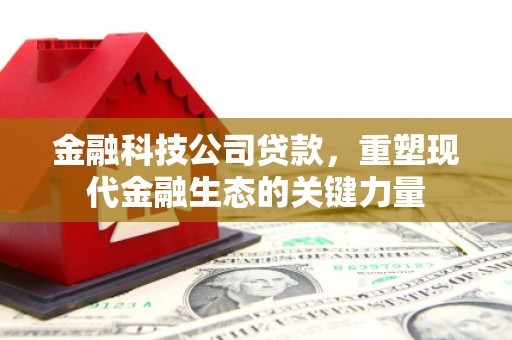 望奎金融科技公司贷款，重塑现代金融生态的关键力量