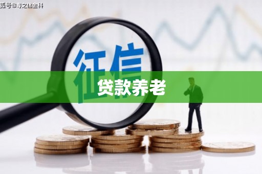 望奎贷款养老