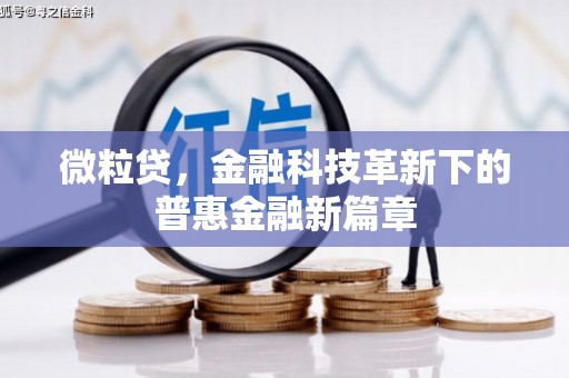 望奎微粒贷，金融科技革新下的普惠金融新篇章