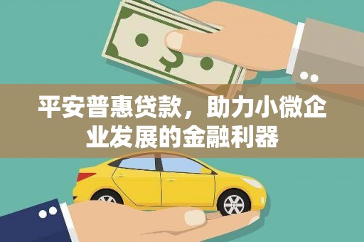 望奎平安普惠贷款，助力小微企业发展的金融利器