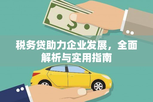 望奎税务贷助力企业发展，全面解析与实用指南