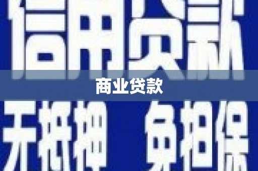 望奎商业贷款