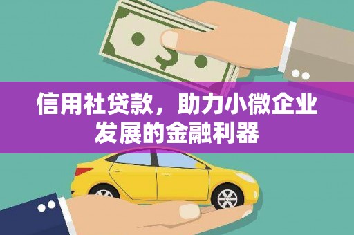 望奎信用社贷款，助力小微企业发展的金融利器