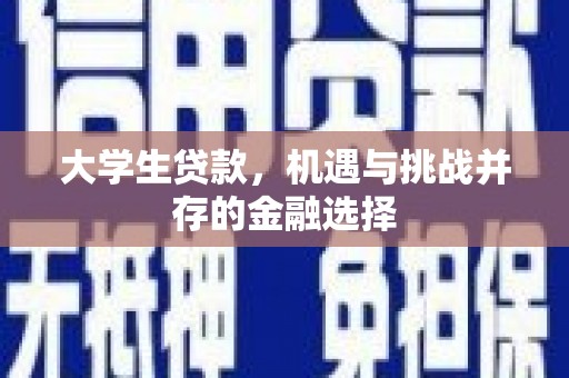 望奎大学生贷款，机遇与挑战并存的金融选择