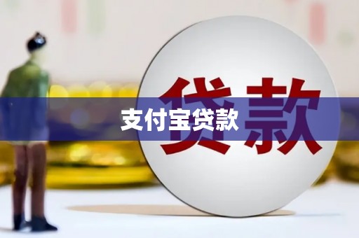 望奎支付宝贷款