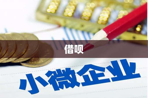 望奎借呗