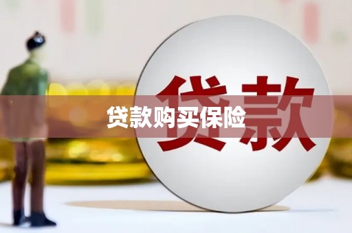 望奎贷款购买保险