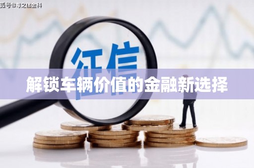 望奎解锁车辆价值的金融新选择