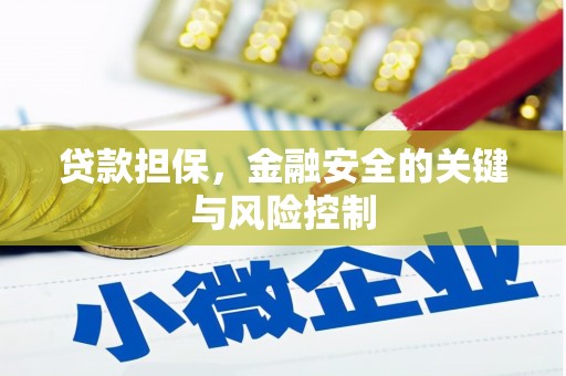 望奎贷款担保，金融安全的关键与风险控制