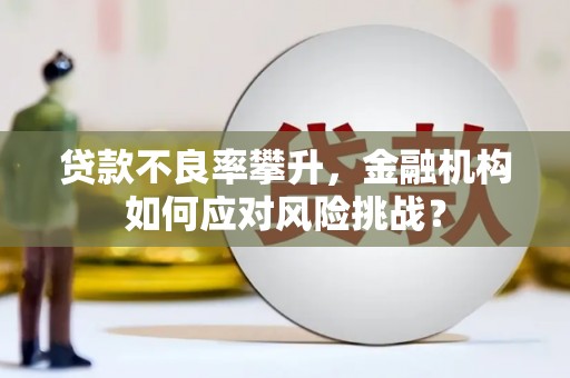 望奎贷款不良率攀升，金融机构如何应对风险挑战？