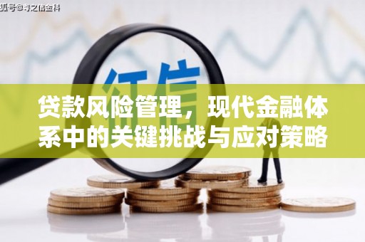 望奎贷款风险管理，现代金融体系中的关键挑战与应对策略