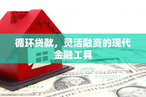 望奎循环贷款，灵活融资的现代金融工具