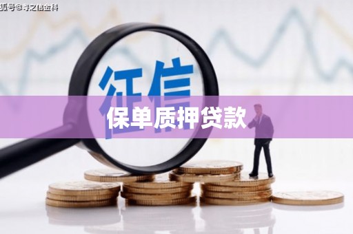 望奎保单质押贷款